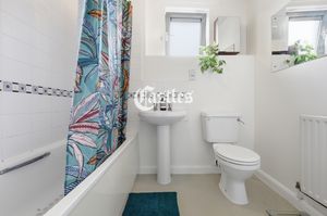 Photo 10- click for photo gallery